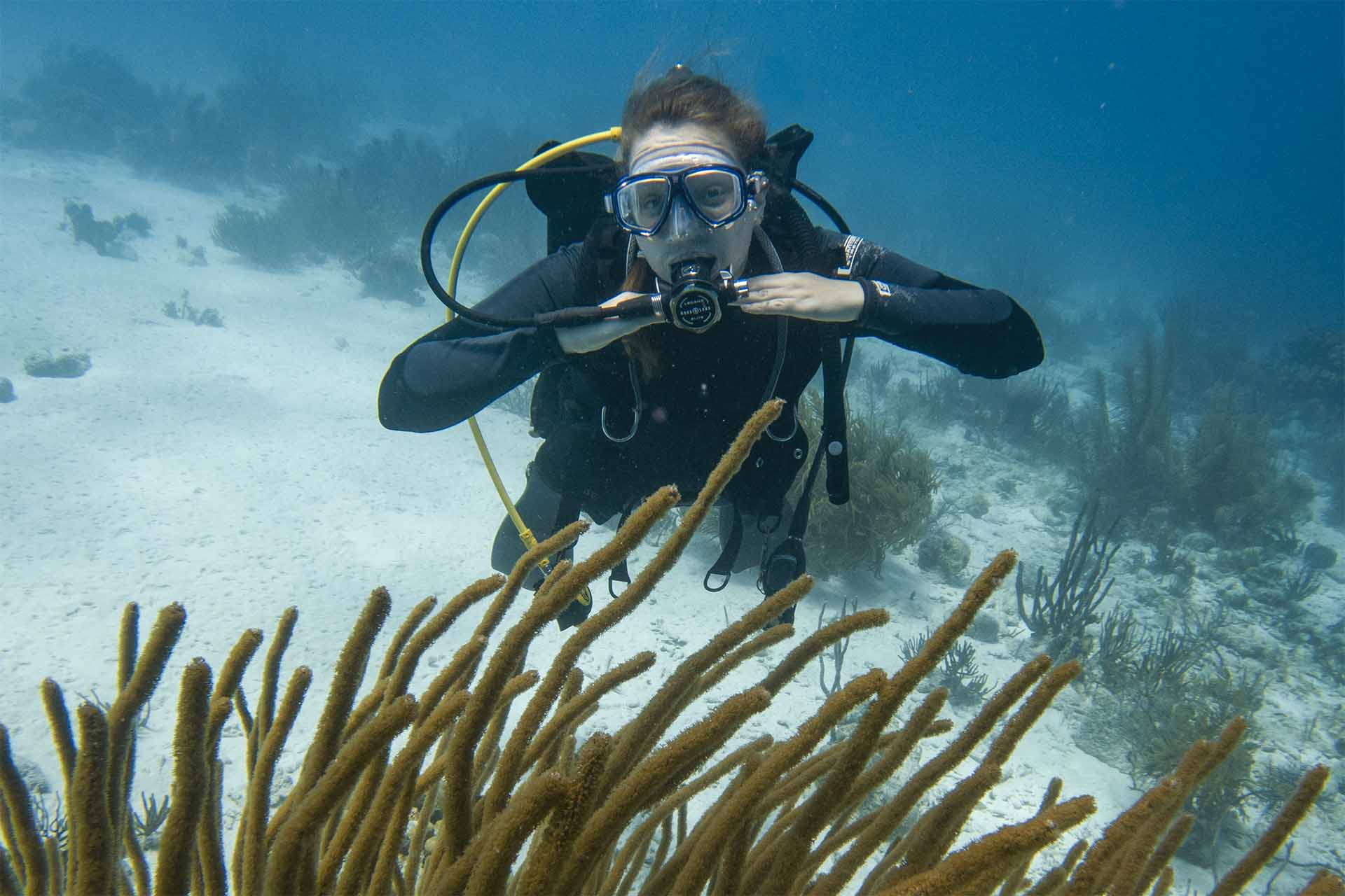 A PADI Certified Open Water Diver enjoys the soft coral in a tropical ocean
